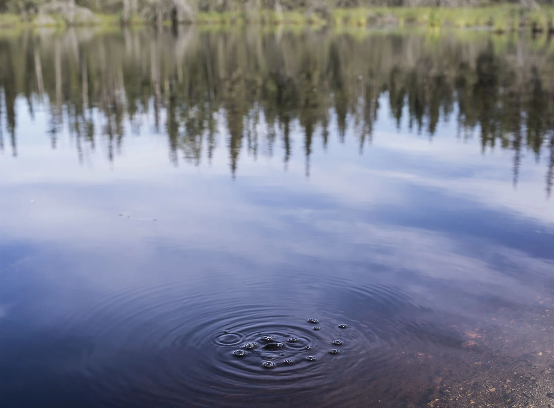 Methane Bubbles in Thermokarst Pond