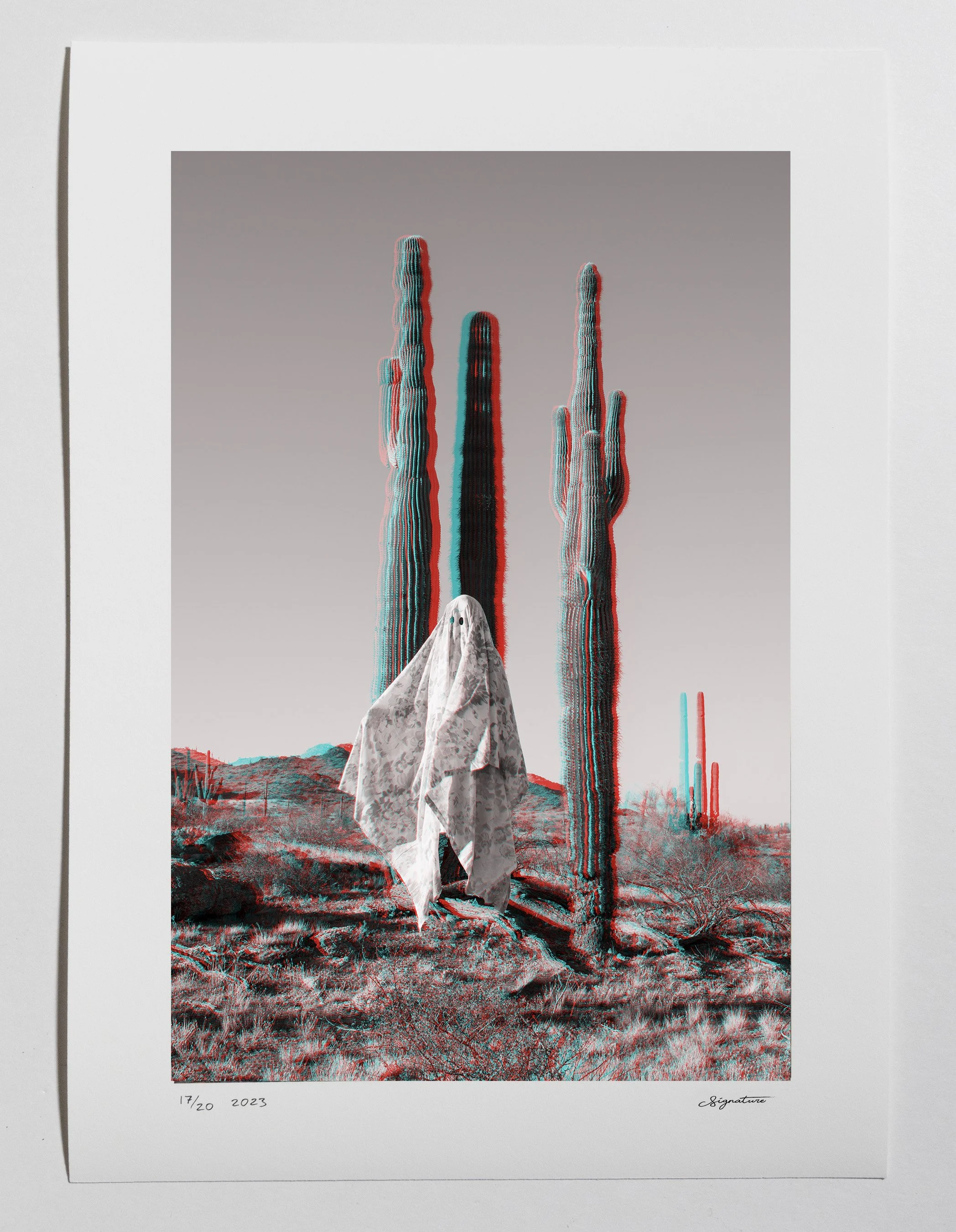 Areca Roe - Saguaros Ghost on paper copy.jpg
