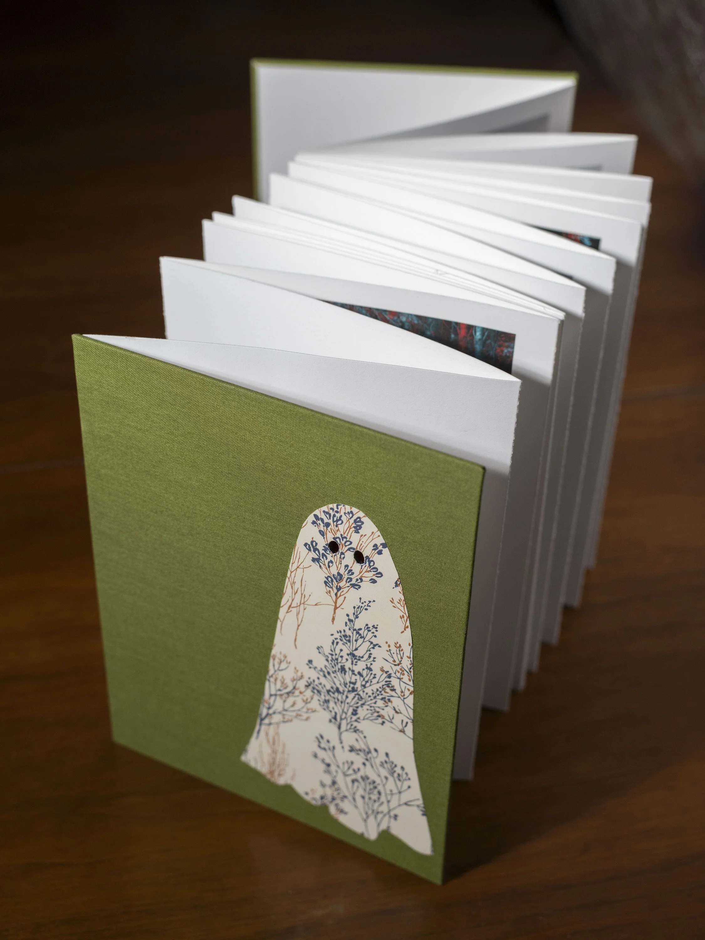 Spectral Book005_ed.jpg