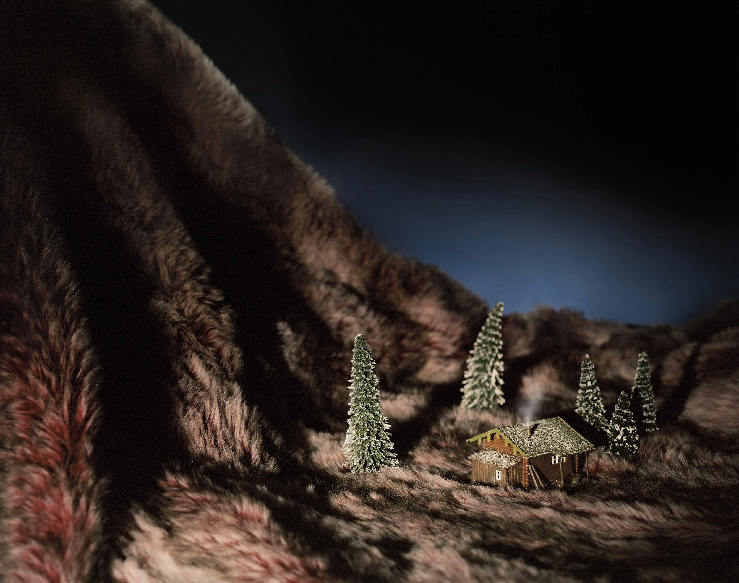 Areca Roe - Shack.jpg