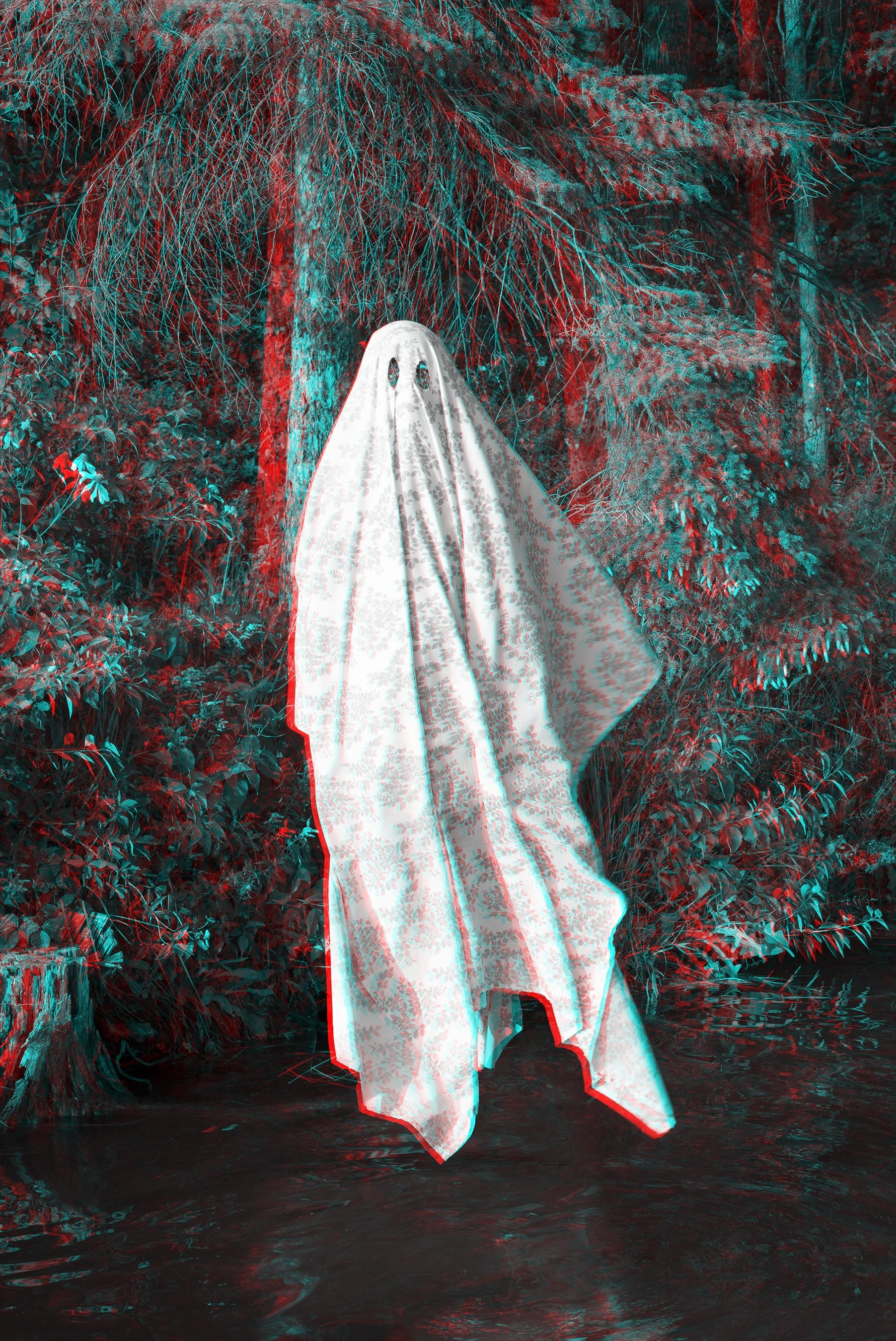 Areca Roe Crow Wing Lake Ghost.jpg