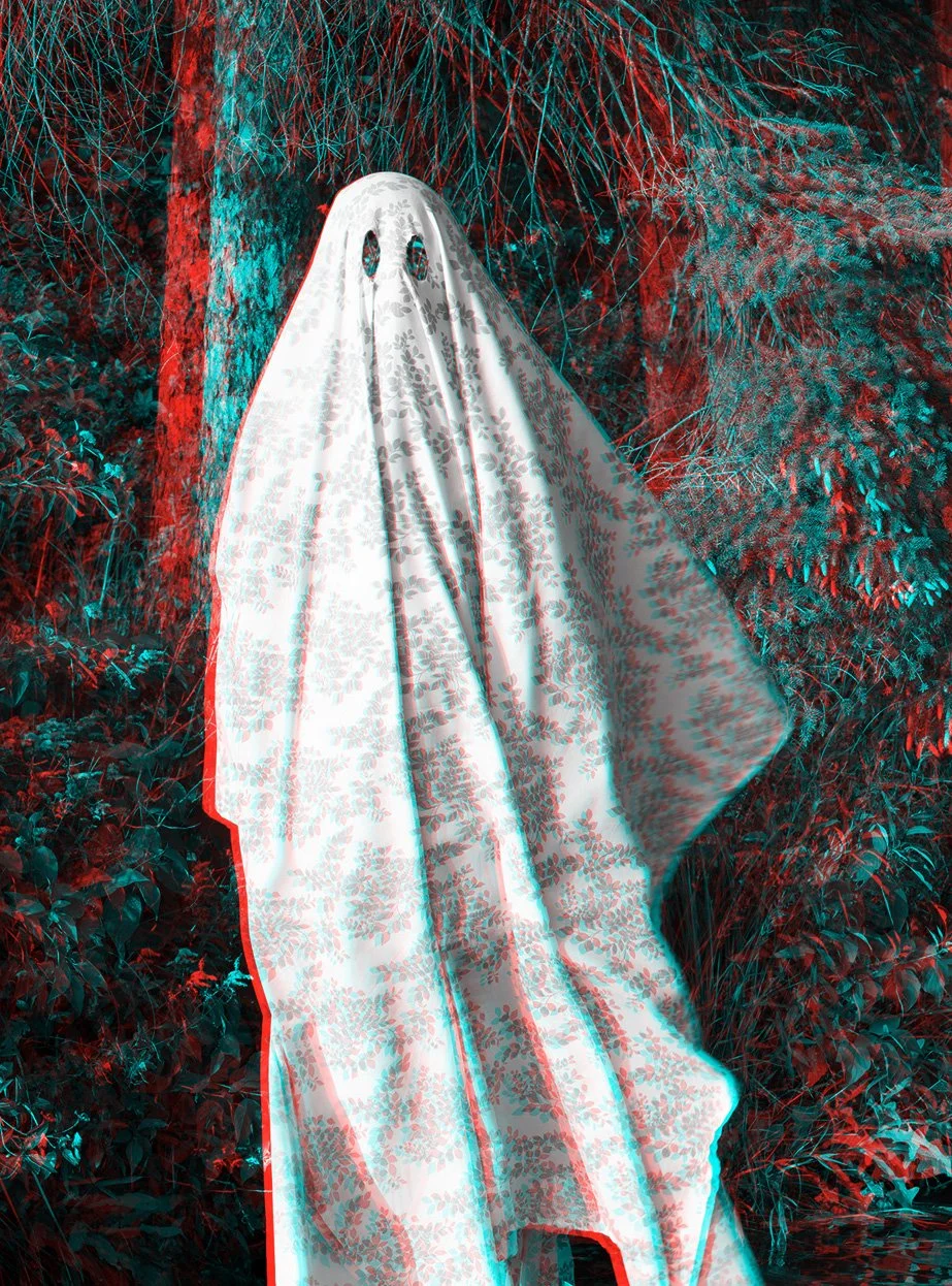 Areca Roe - Crow Wing Ghost detail.jpg