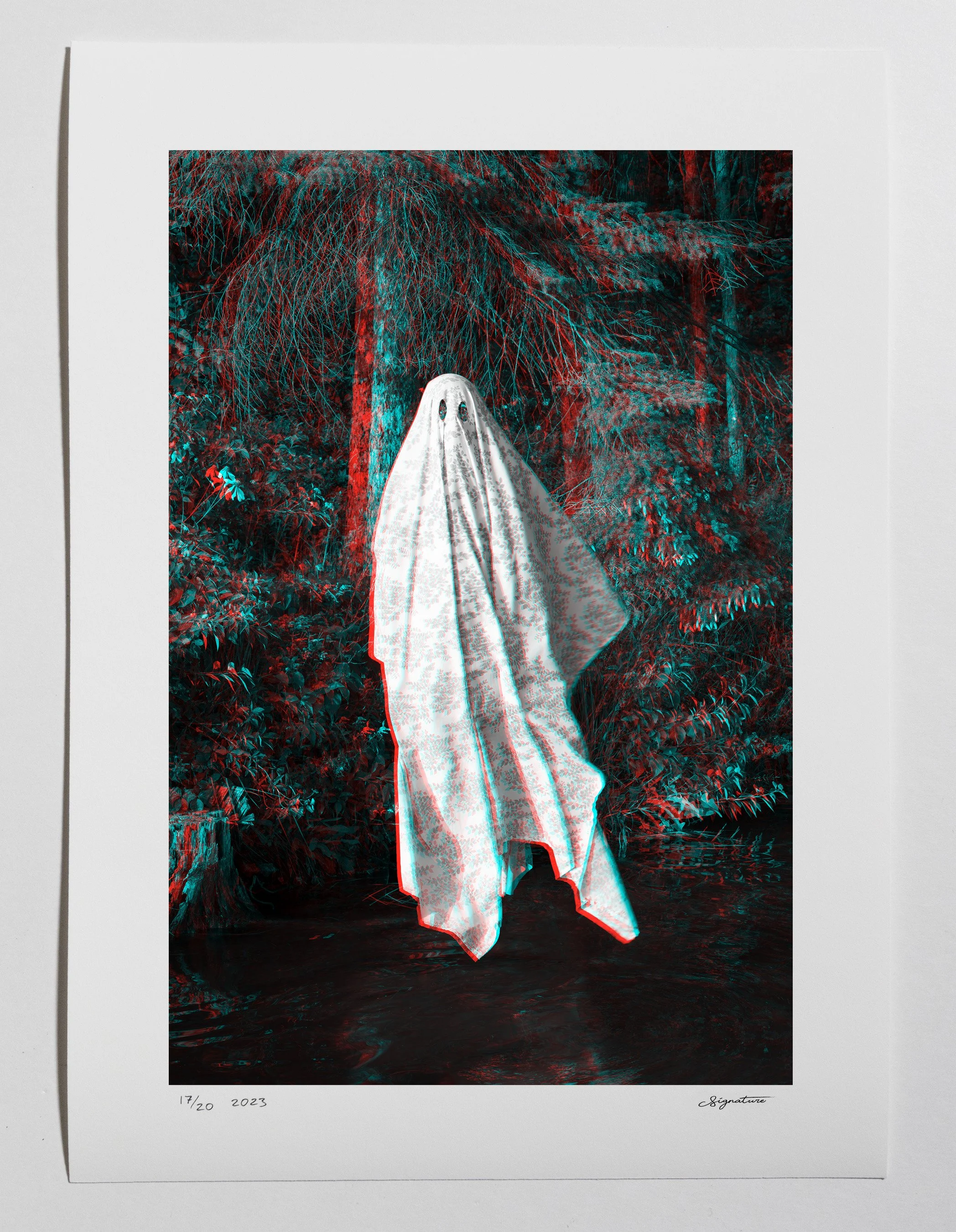 Areca Roe - Crow Wing Ghost on paper copy.jpg
