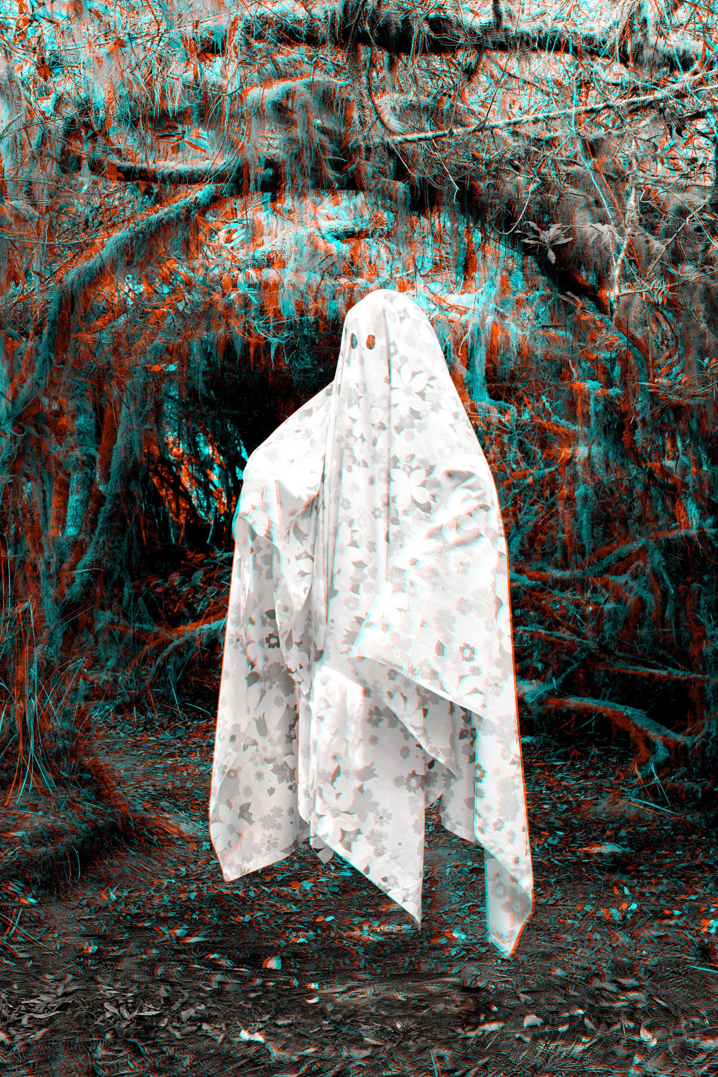 Areca Roe - Mossy ghost copy.jpg (Copy)