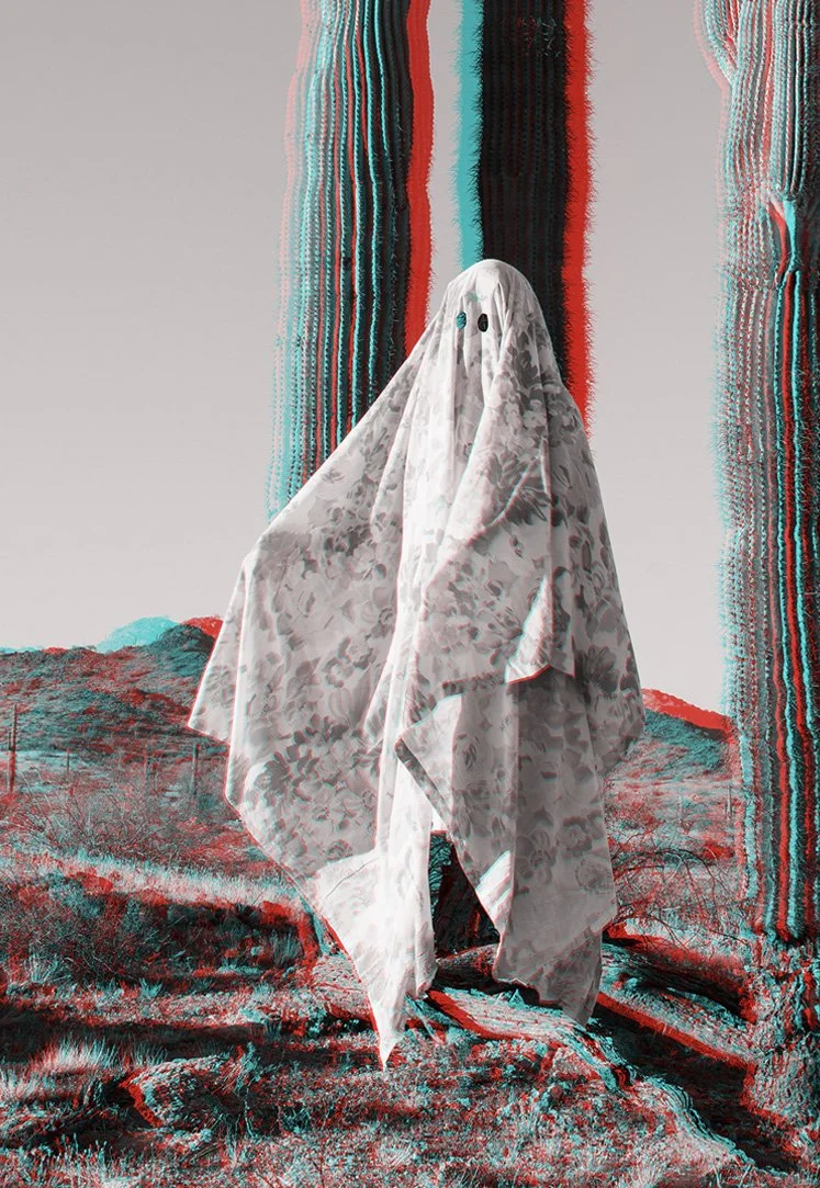 Areca Roe - Saguaros Ghost detail paper copy.jpg