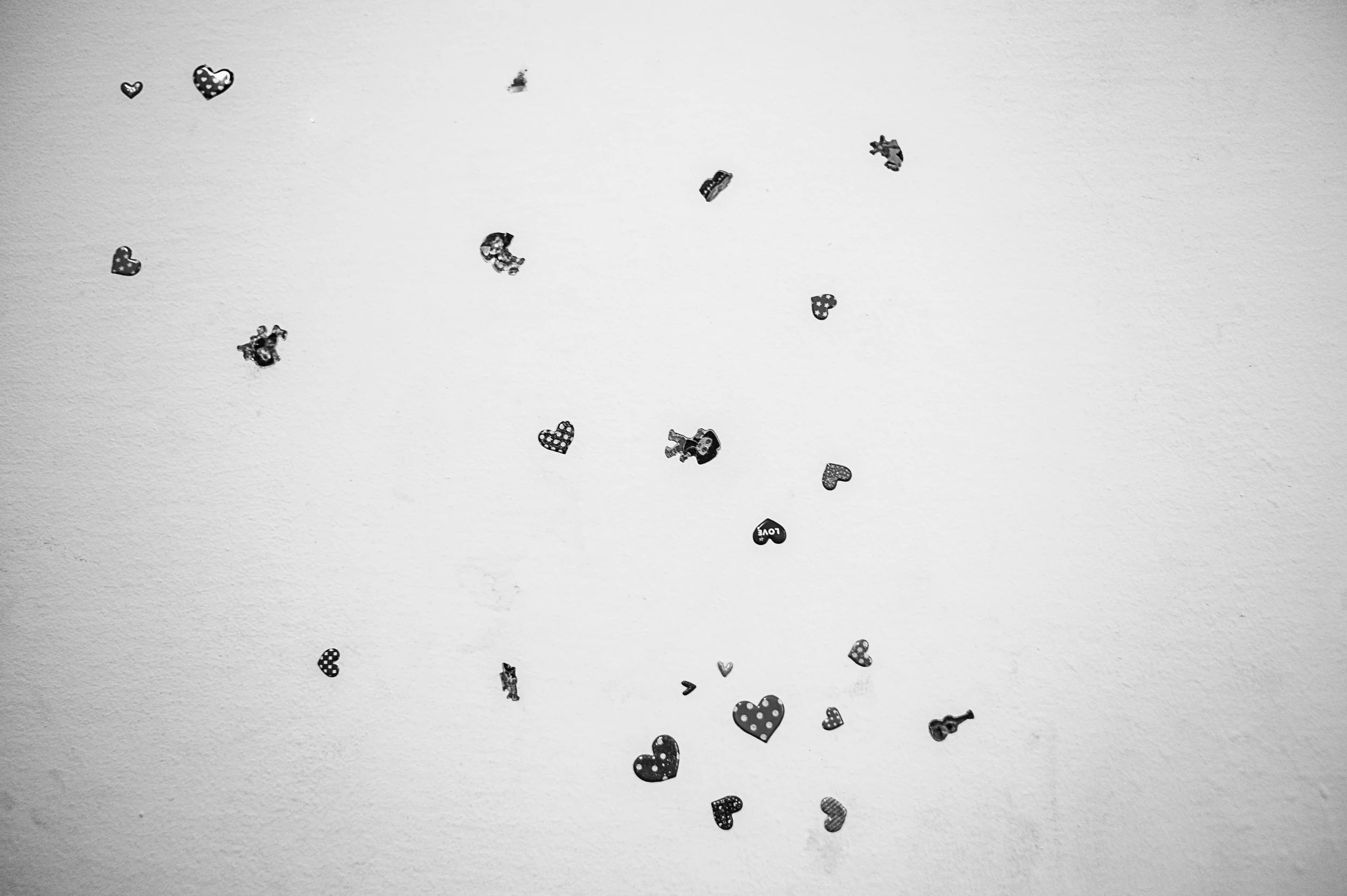 L1081188 copy copy copy.jpg