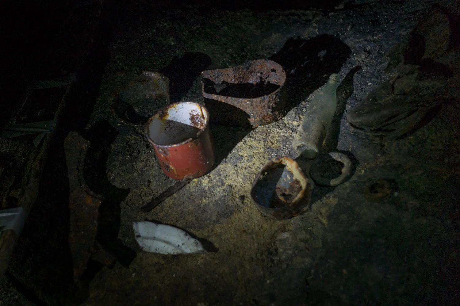 L1058671.jpg
