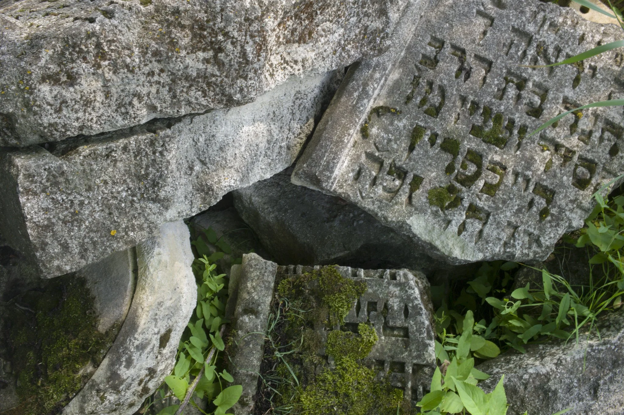 L1057116.jpg