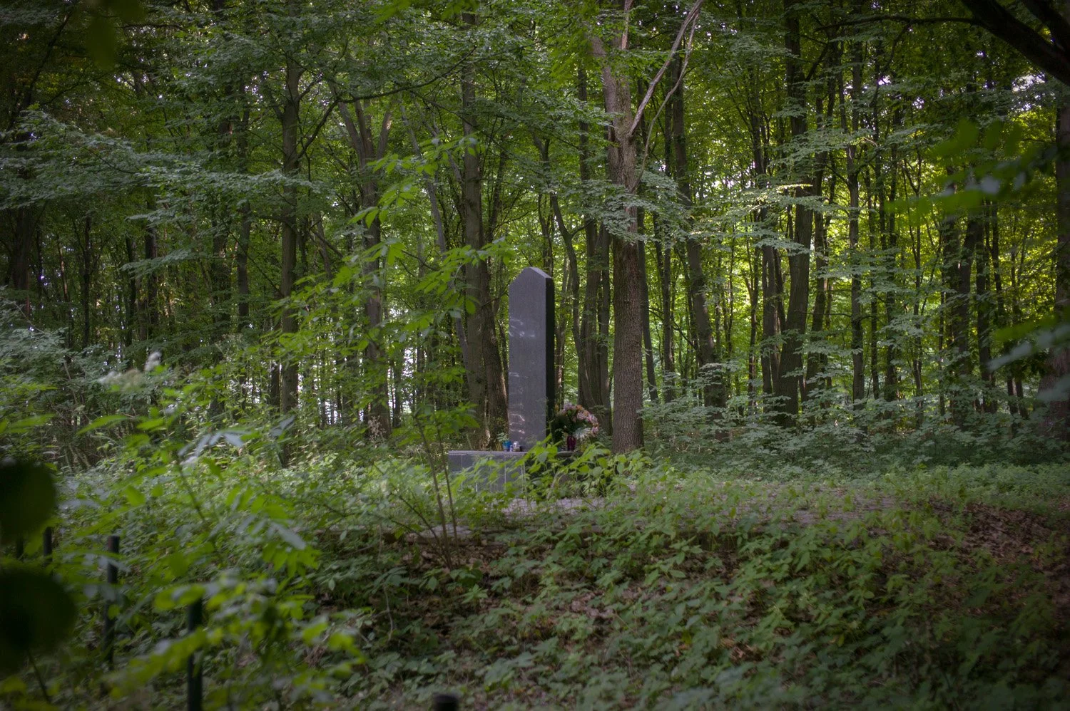 L1057623.jpg