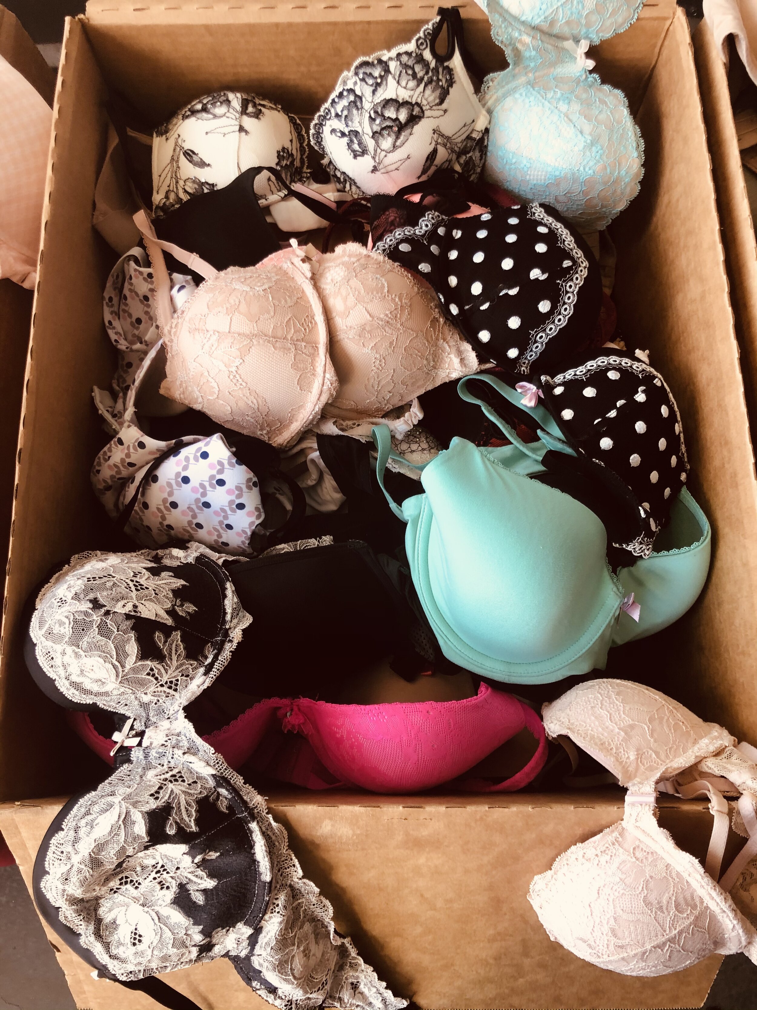 Arizona Couple Donate 4 Million Bras To Women In Need By Creating Global Bra  Recycling Company From Their Garage — WeINSPIRE Movement