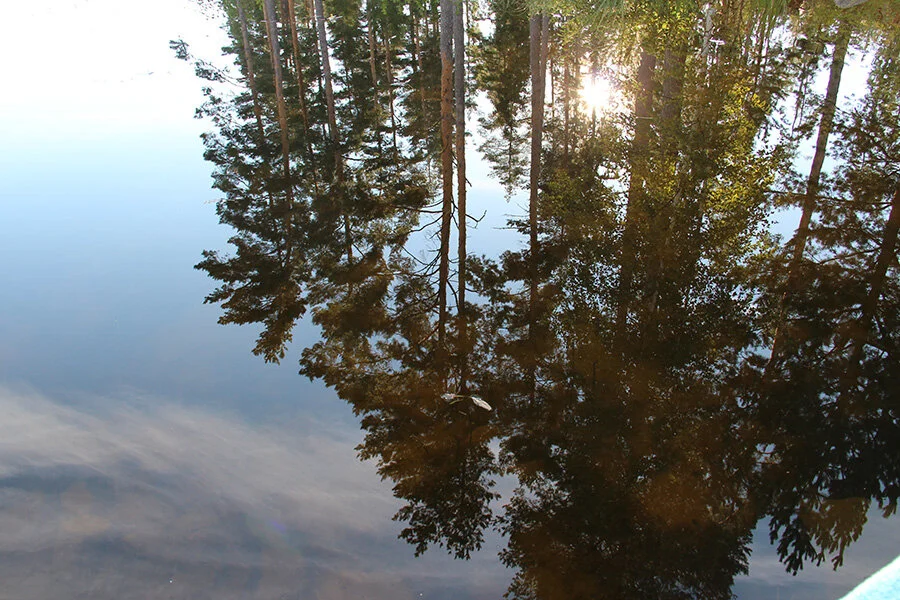 Finnland ‒ Ein großer Tag im Land der Seen