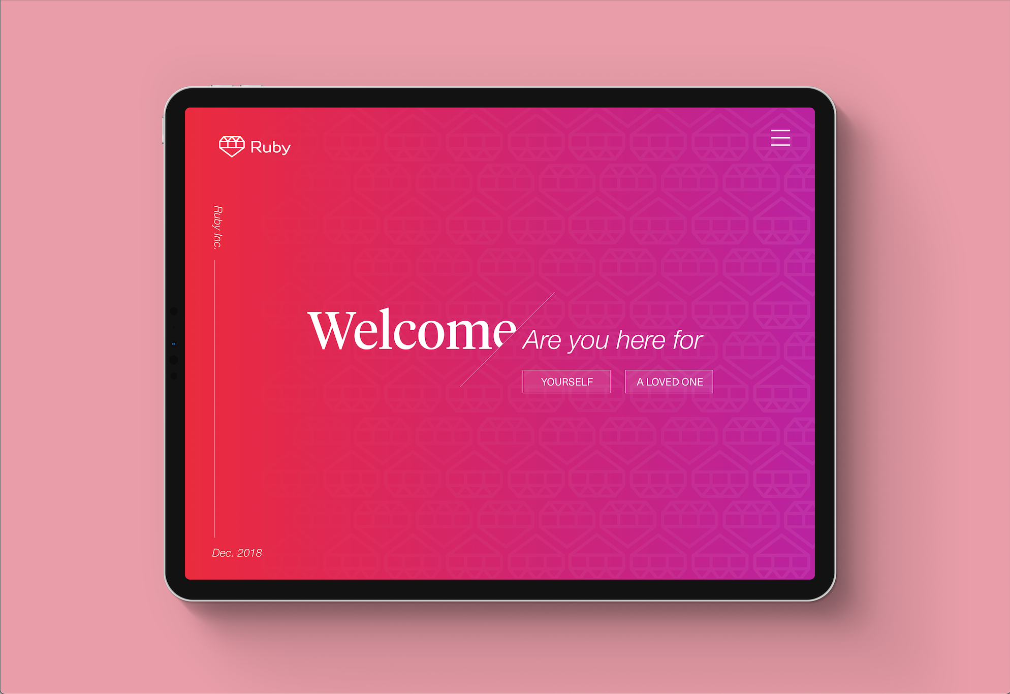 Screen Shot 2019-02-27 at 2.21.37 PM.png