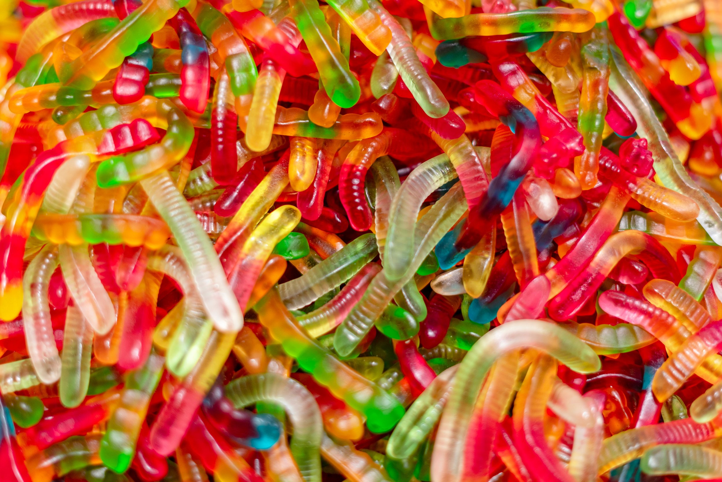 candy-2022-08-01-03-55-27-utc.jpg