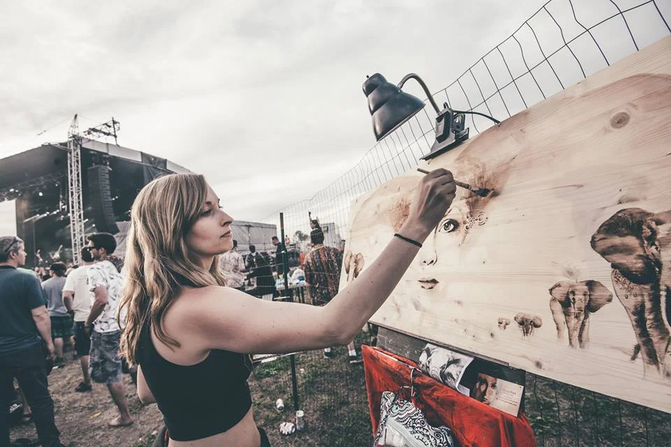  Summer Camp Music Festival 2015 in Chillicothe, Illinois  Photography by Jay Miller 