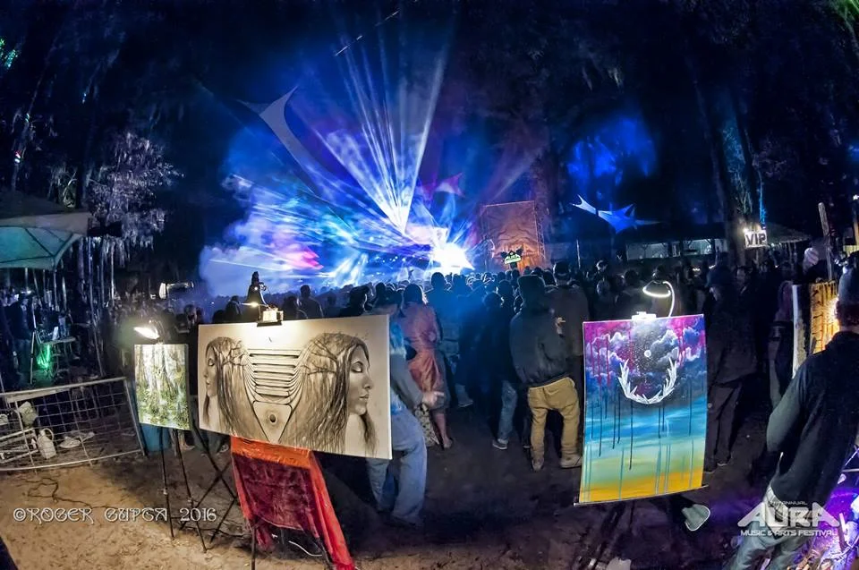  Photograph of "Bound" at Aura music festival in The Spirit of Suwanee National Forest in Live Oak, Florida March 2015. 