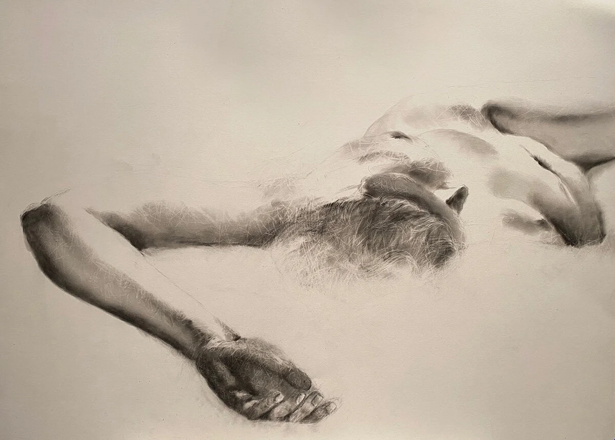 Figurative Study