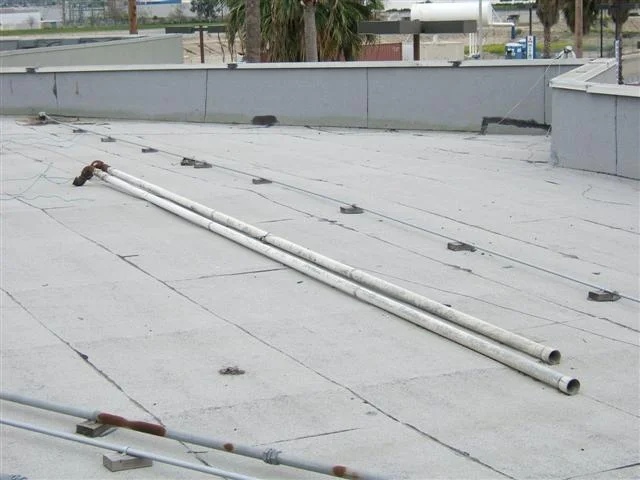DSCF0135 (Small).JPG