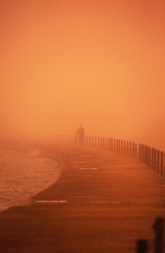 FOG.jpeg