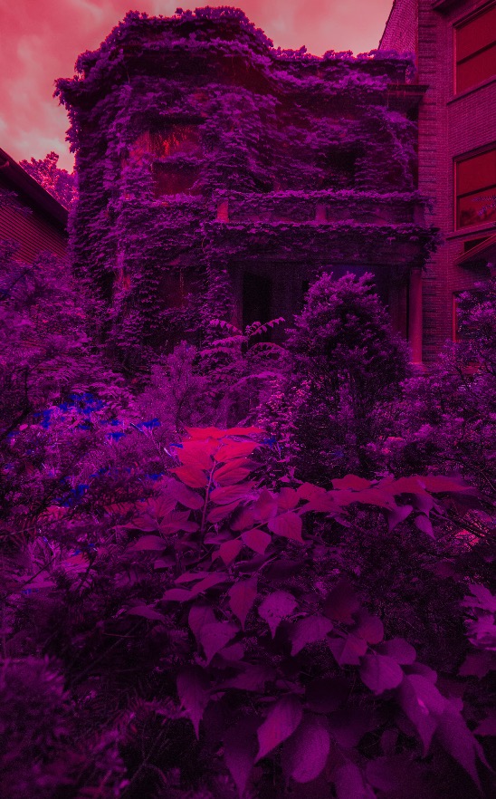 OVERGROWN.jpeg