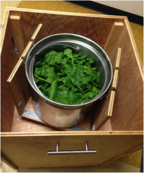 spinleaf14.png