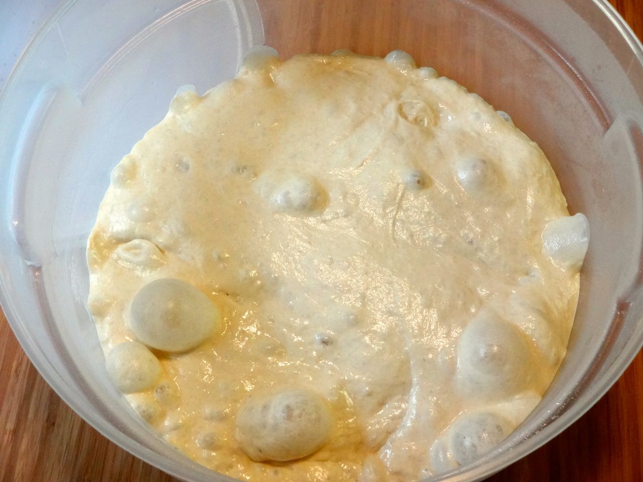 4. next day, 15 hours later it's ready to divide in half and form into rounds