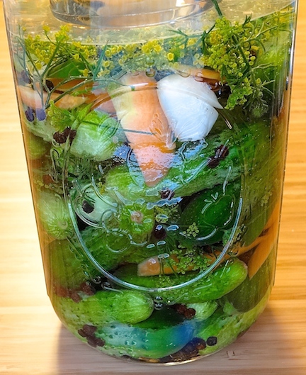 Beautifully vibrant colors of fresh ingredients