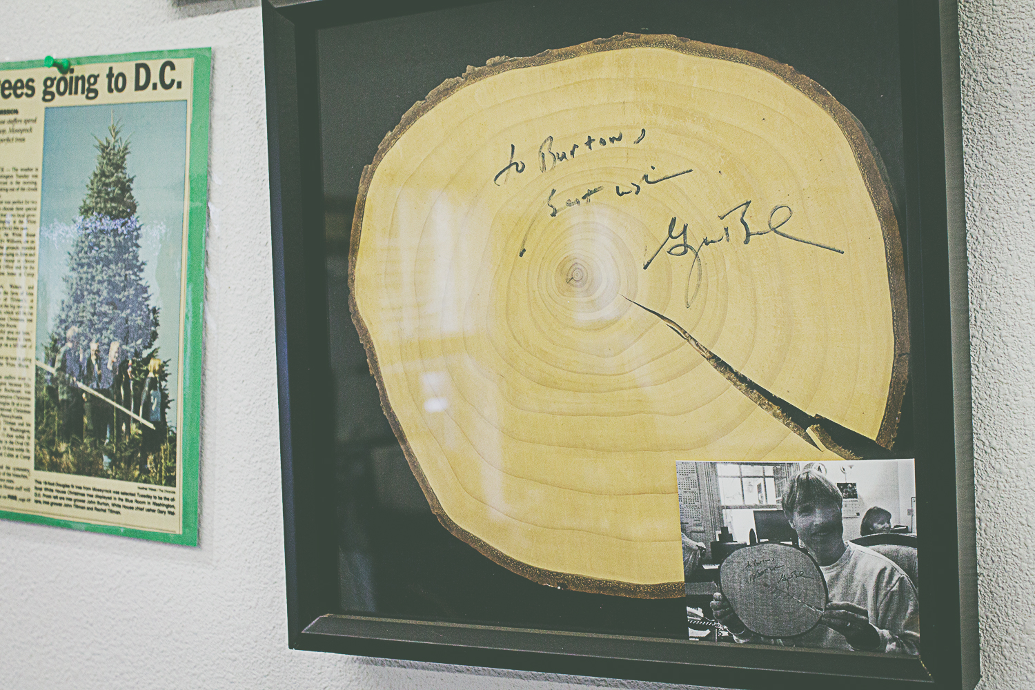 Fresh cut signed by President George W. Bush
