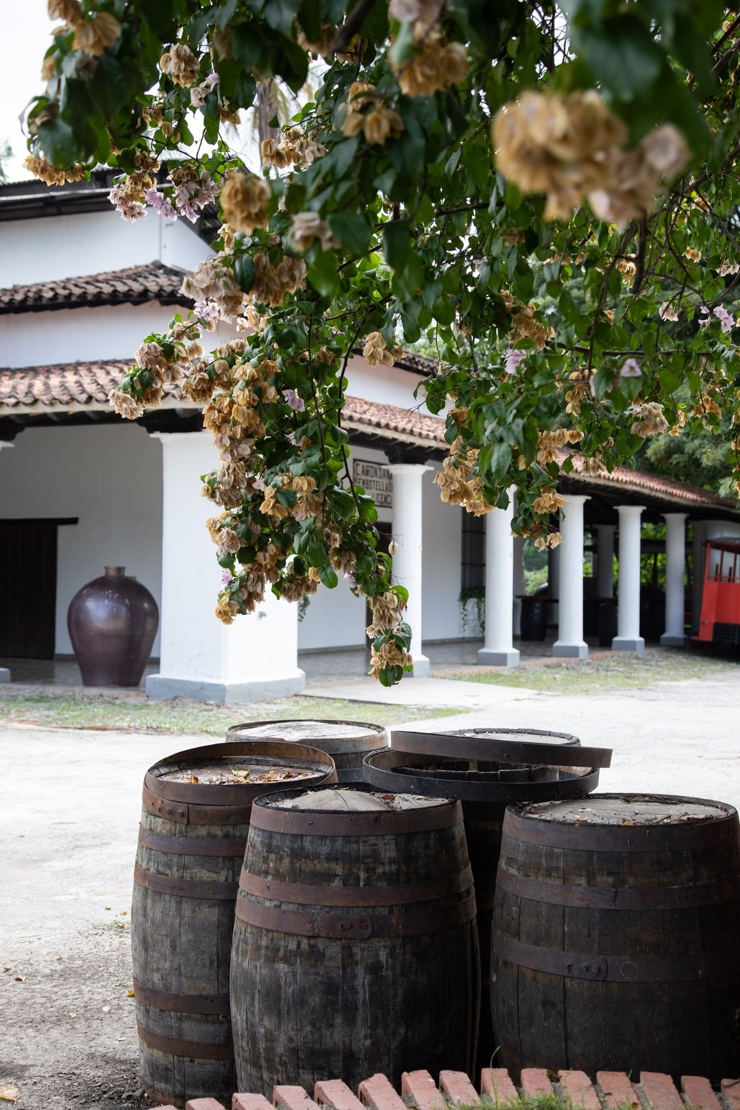 Built on over 200 Years of Family Tradition | Santa Teresa Rum Farm in Venezuela. 

Founded in 1796 and located in the mountainous Aragua Valley, ours is more than a home. It has withstood wars, revolutions, and invasions. There has always been sugar