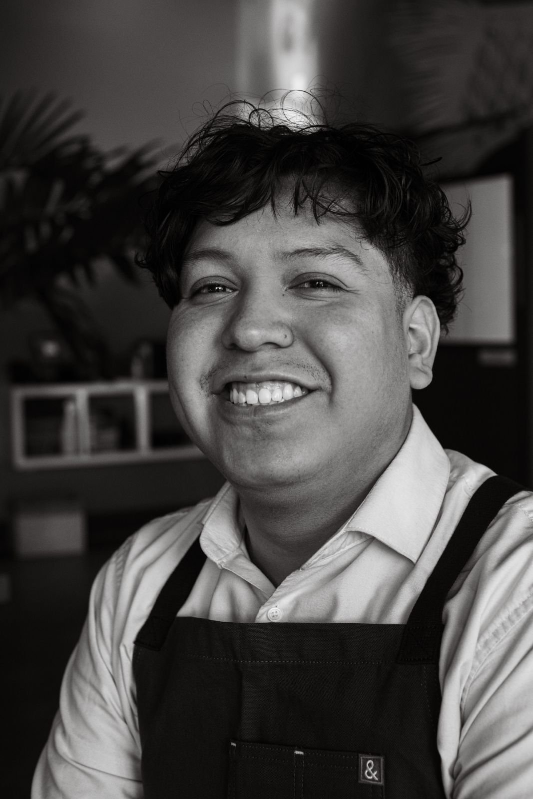 Mauricio
