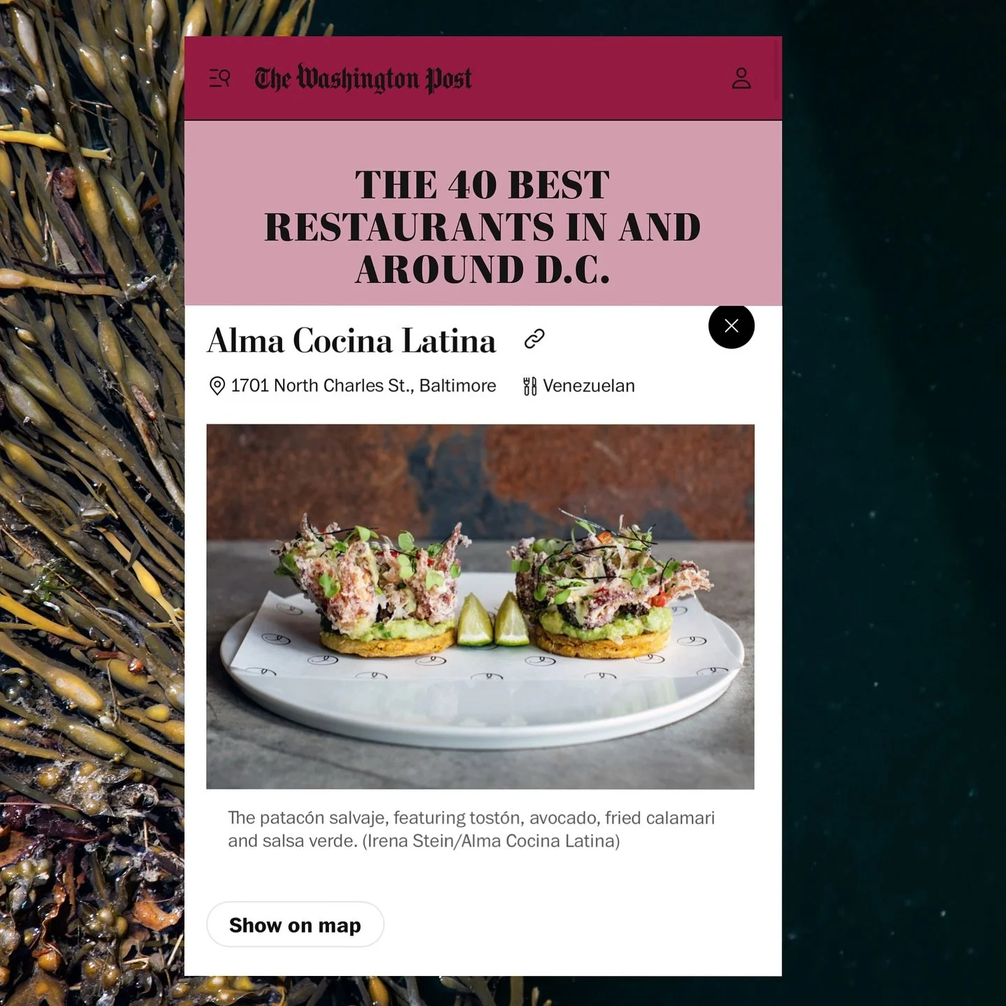 We&rsquo;re thrilled! 💛

Alma Cocina Latina has been featured in The Washington Post as one of the favorite places to dine in the Mid-Atlantic &mdash; yes, even among D.C. restaurants! ✨

From our cozy corner in Baltimore, we continue to share the f