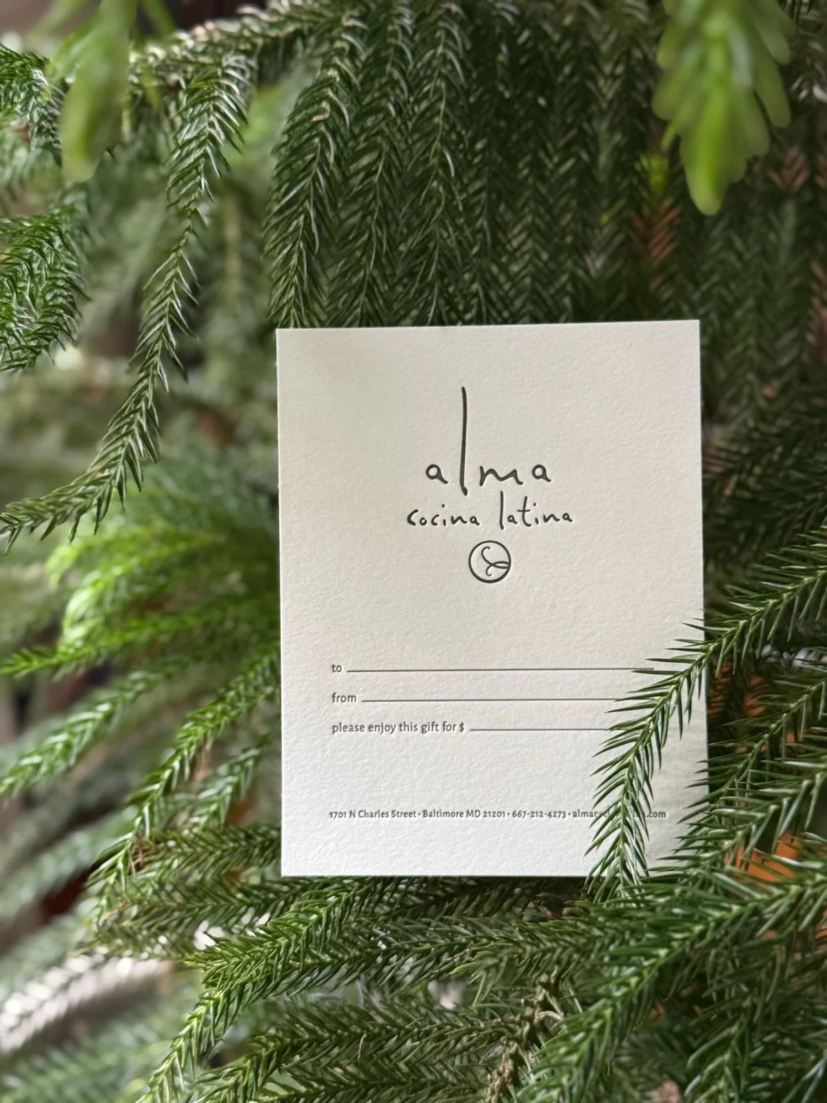 This holiday season, we celebrate what truly brings us together: shared moments, laughter, and the table that gathers us.

Surprise your loved ones with a gift full of flavor, our gift cards, created to offer exceptional cuisine and moments that feel