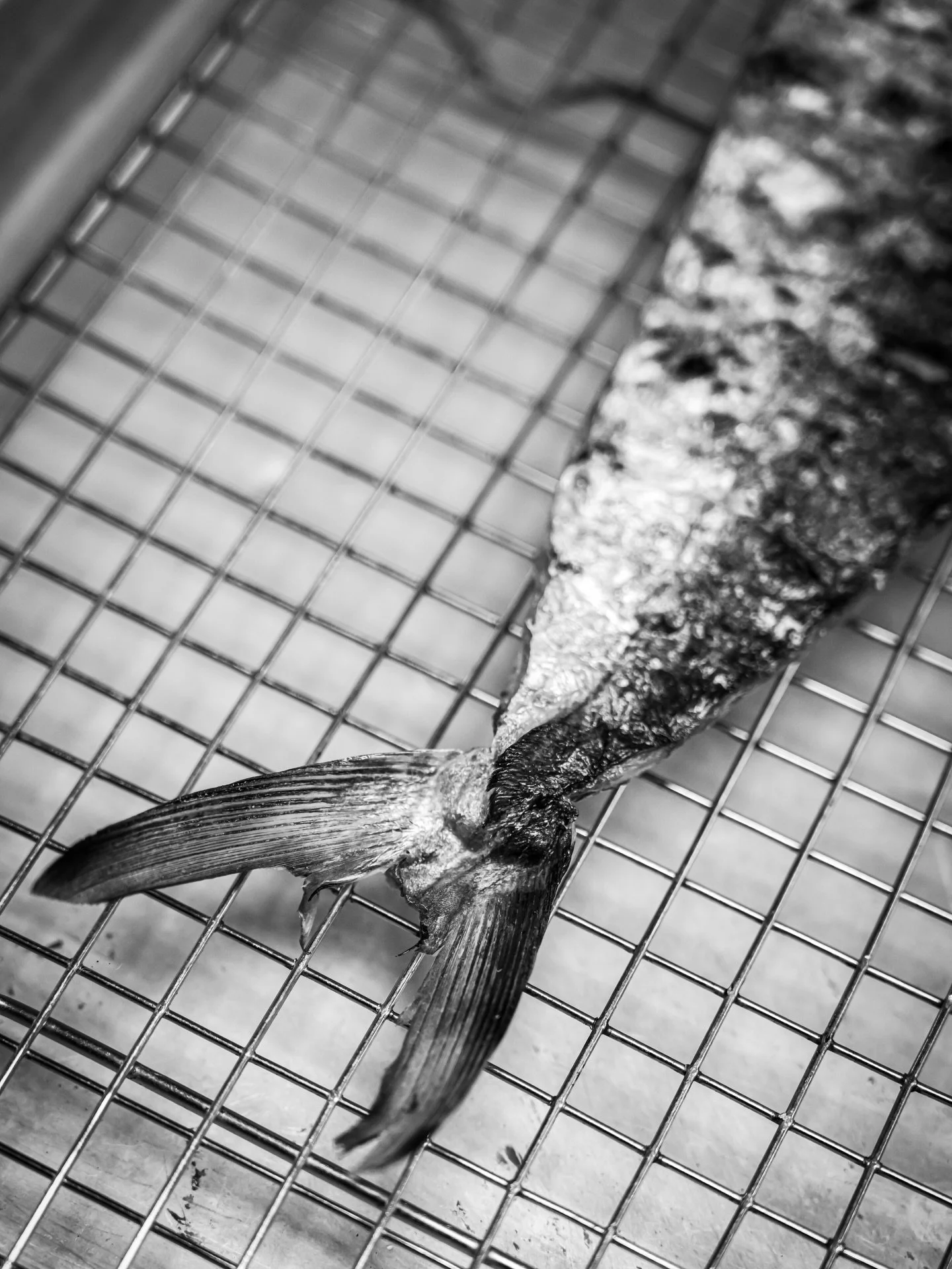 Hey, no plans for dinner tonight?
We&rsquo;ve got you 

Plenty of availability and a menu full of vegetarian, vegan &amp; pescatarian options 

Come hang with us.