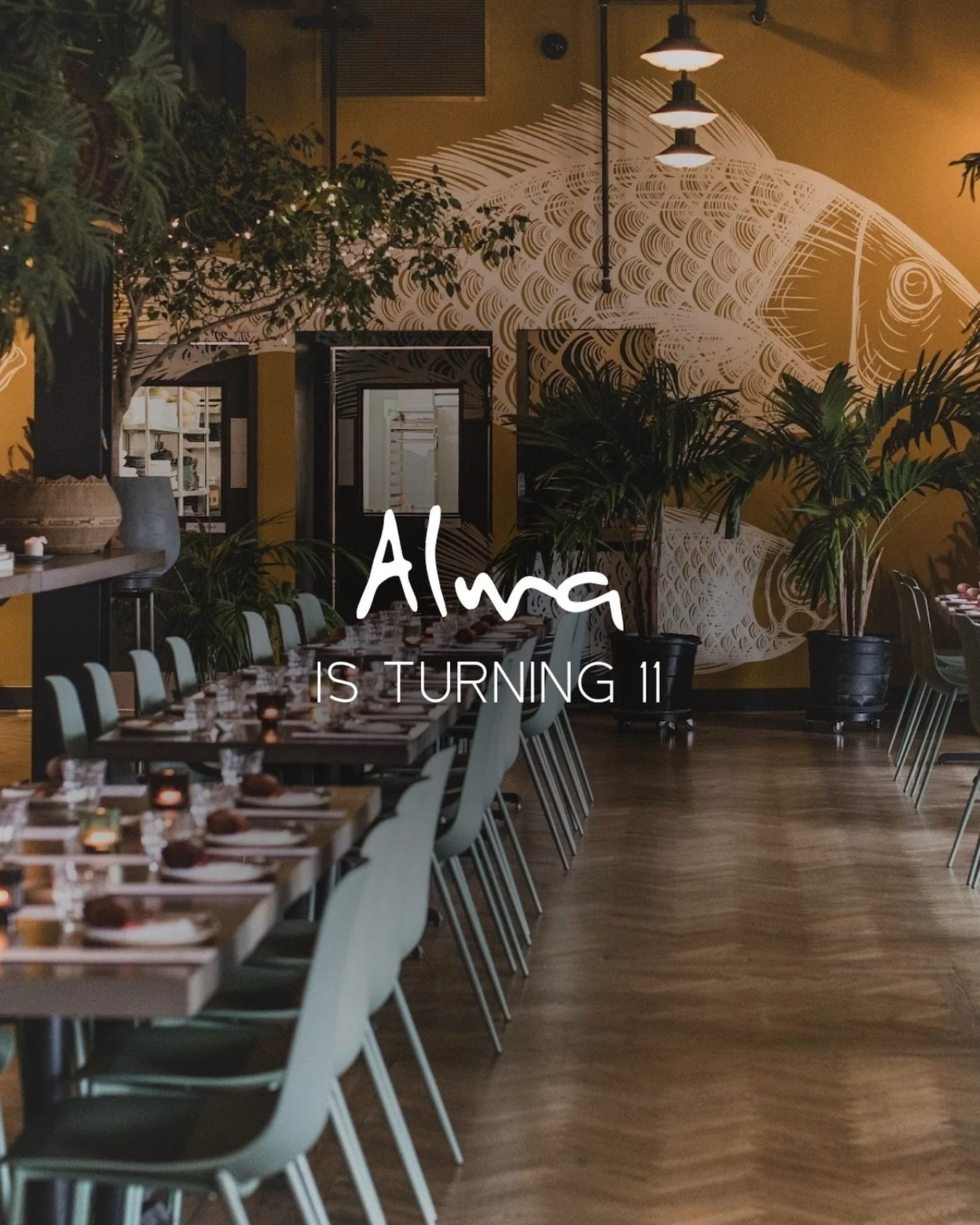 Three nights. One celebration. Eleven years in the making. ✨

Join us at Alma&rsquo;s Cocina Latina from Friday, April 24 through Sunday, April 26 as we celebrate our birthday with a special, limited-time experience. For this weekend only, we&rsquo;r