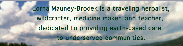 Herbalista: Lorna Mauney-Brodek is a traveling herbalist, medicine maker, wildcrafter and teacher. Much of her herbwork supports organizations dedicated to promoting diversity, environmental responsibility, and social justice. Growing up “americana,” her health practices reflect the abundantly diverse influences of these lands to blend western medical herbalism, traditional Chinese five phase, Ayurveda, and southern folk. Early barefoot adventures in the Appalachian foothills and global wanderings with tent-packing parents led to more formal trainings in plant medicine. She completed an herbal residency with Michael Moore at the Southwest School of Botanical Medicine and her clinical internship at the Blue Ridge School for Herbal Studies. She offers a sliding scale herbal clinic in East Atlanta and leads the Harriet Tubman Free Foot Clinic , and The Herbalista Free Clinic (also known as the Herb Bus.) Lorna teaches at various venues around the southeast, including BotanoLogos , the Blue Ridge School , the Homestead Atlanta , and The Herb Kitchen . 