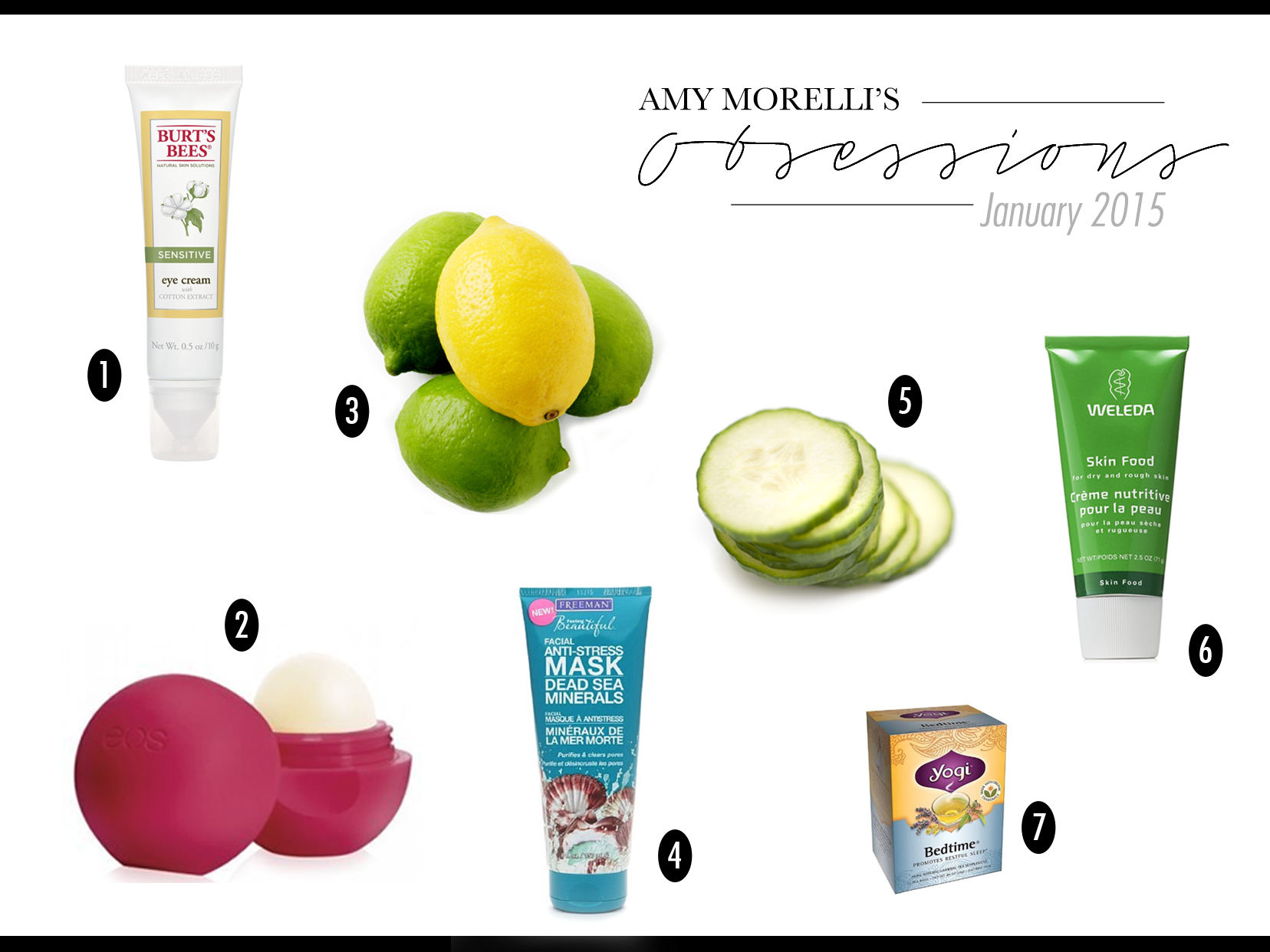 _-Amy's-Obessions-Jan.png