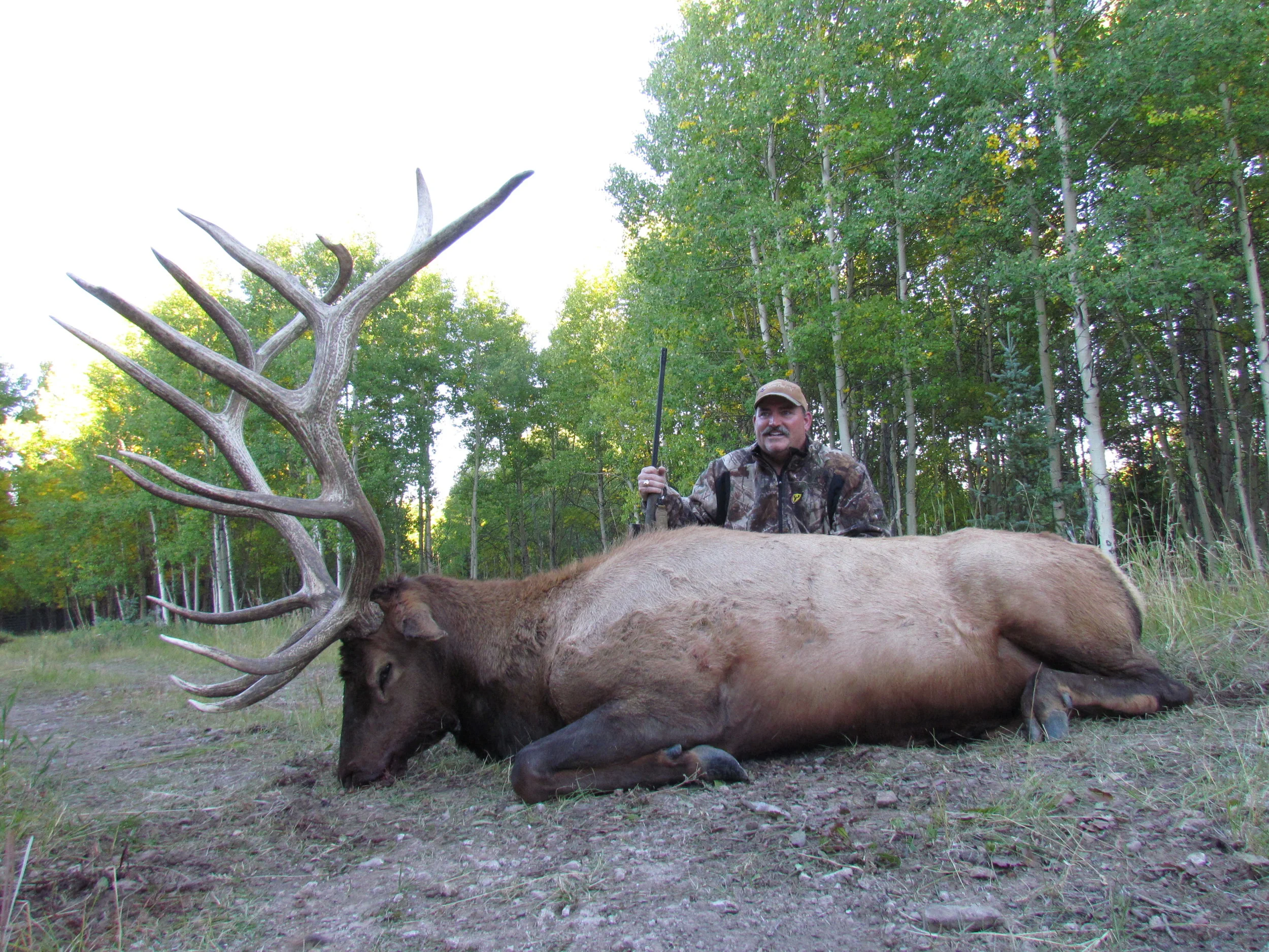 COLORADO TROPHY ELK HUNTS AT BULL BASIN RANCH COLORADO TROPHY BULL ELK