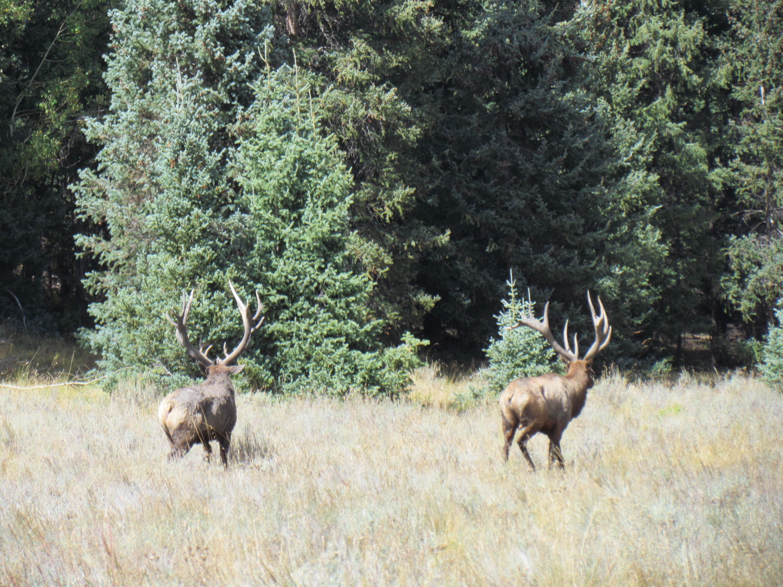 14 hunts scenery 015.JPG