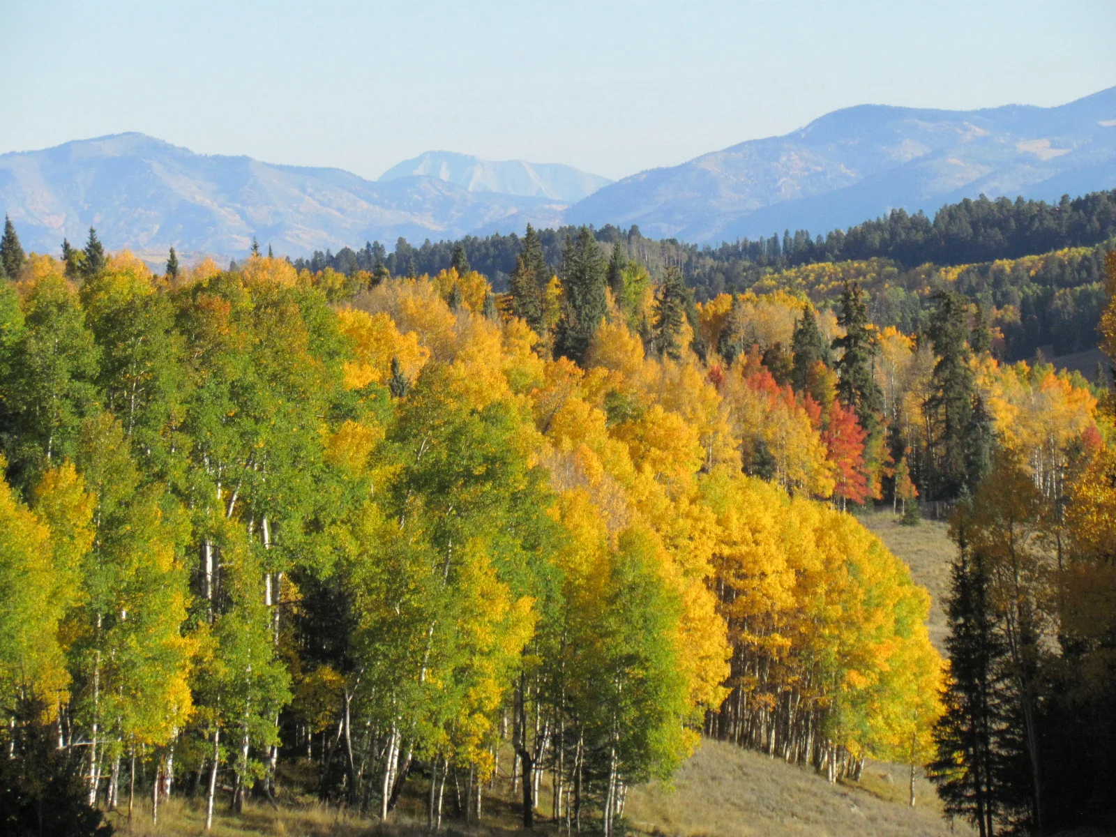 14 hunts scenery 226.JPG