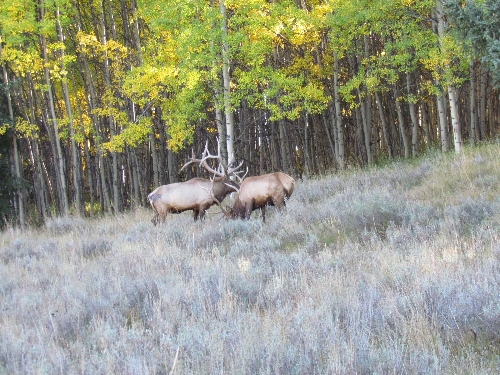 14 hunts scenery 104.JPG