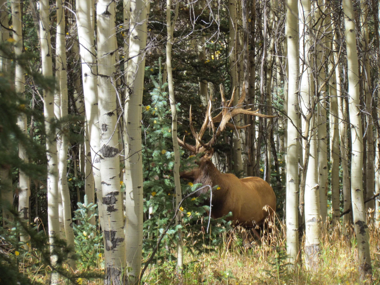 14 hunts scenery 080.JPG