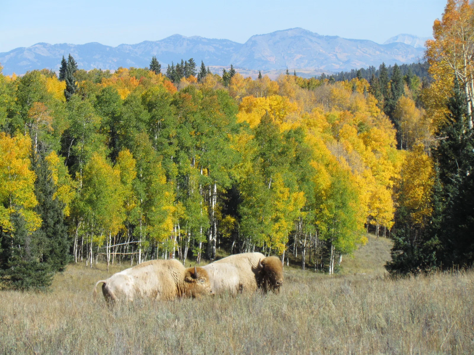 14 hunts scenery 245.JPG