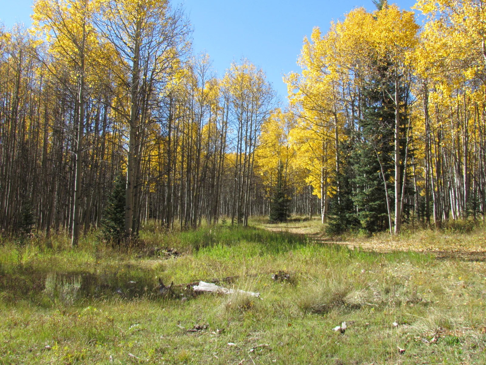14 hunts scenery 247.JPG