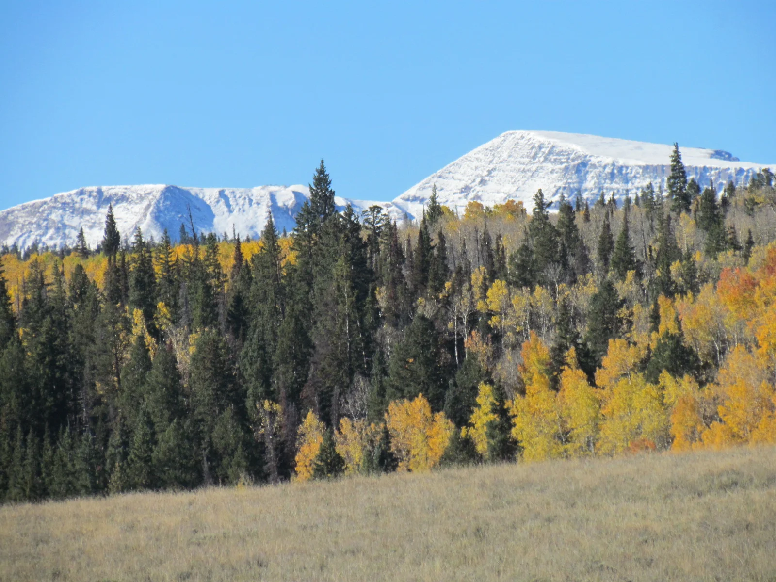 14 hunts scenery 323.JPG