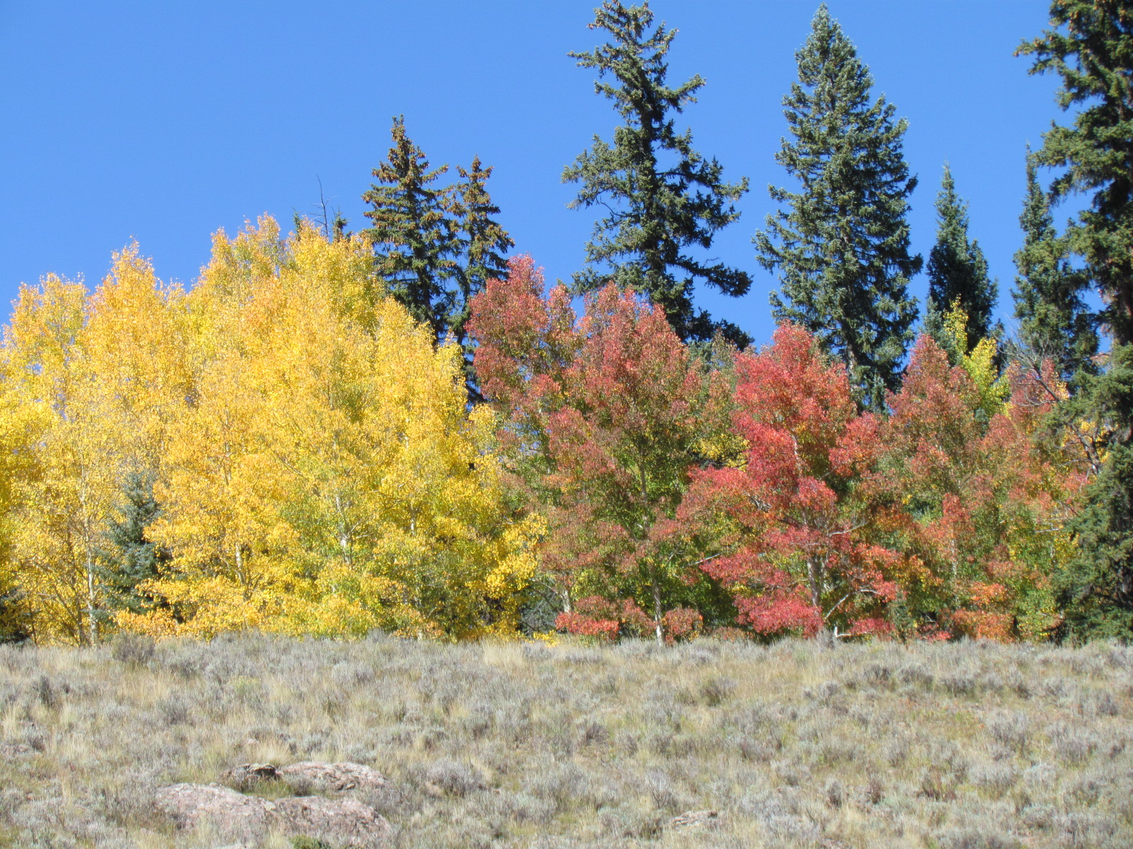 14 hunts scenery 222.JPG