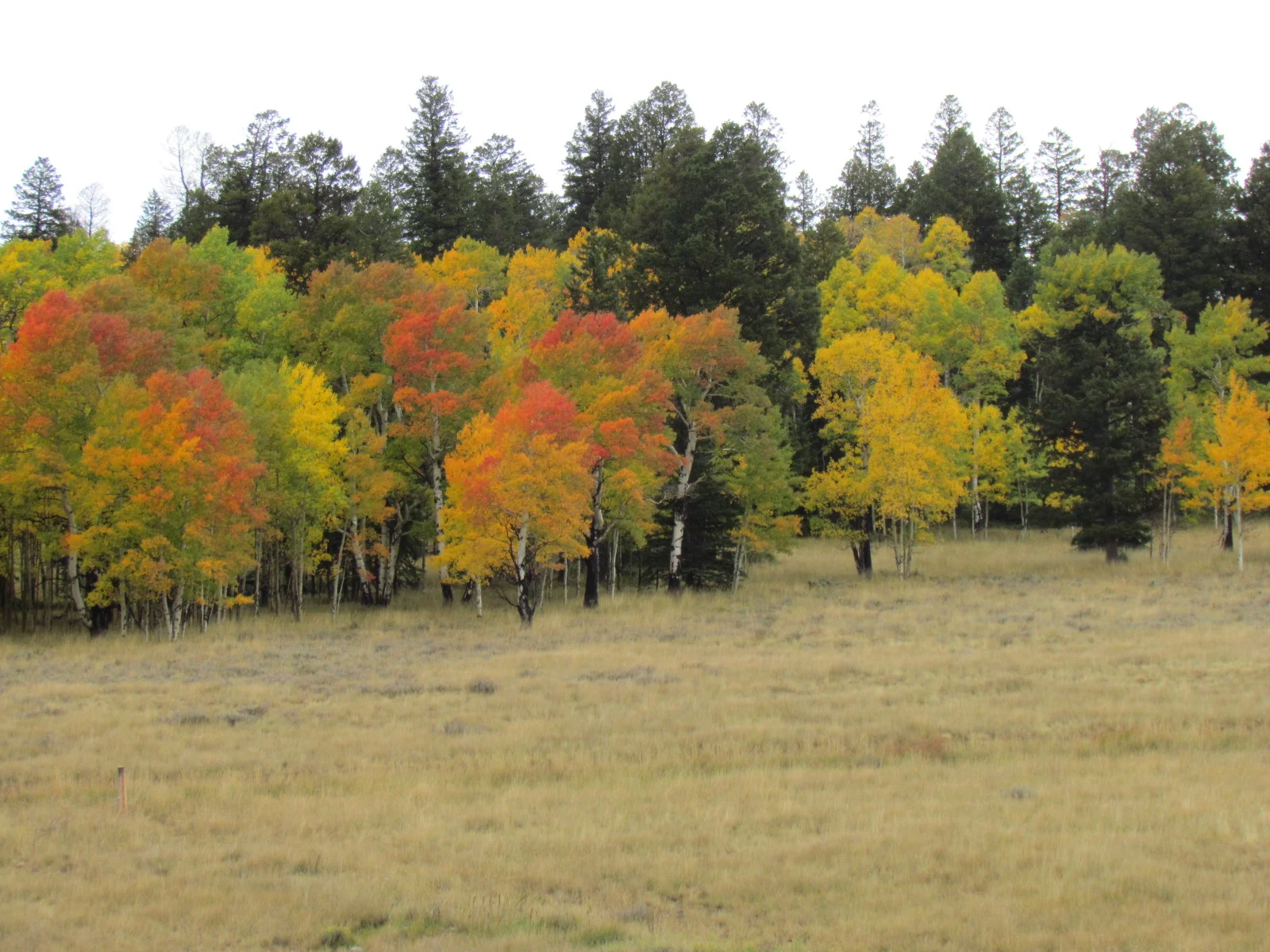 14 hunts scenery 259.JPG