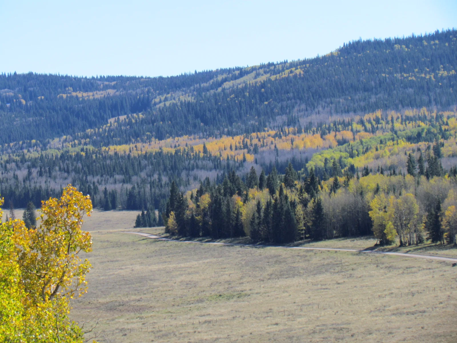 14 hunts scenery 350.JPG