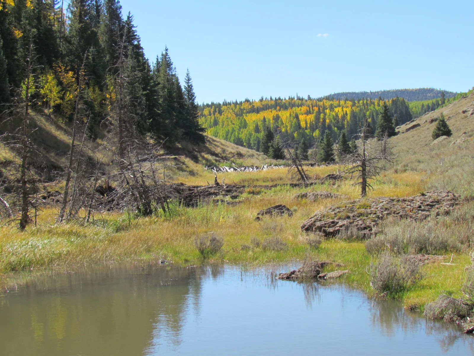 2014  ranch hunts 276.JPG