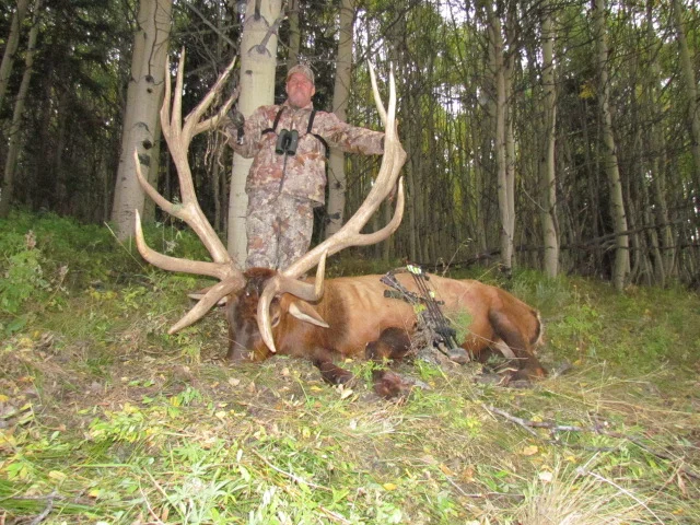 2014 elk 056.JPG
