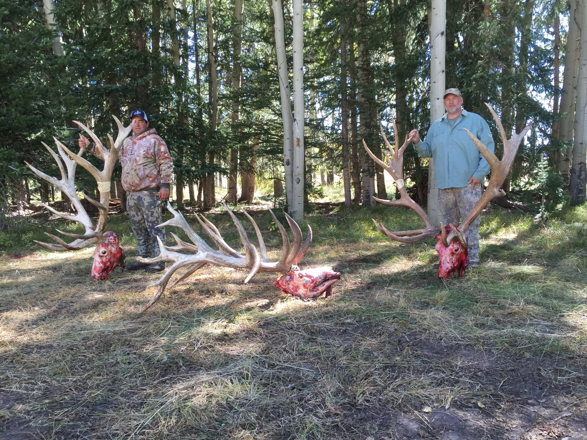 2015 elk hunts 978.JPG