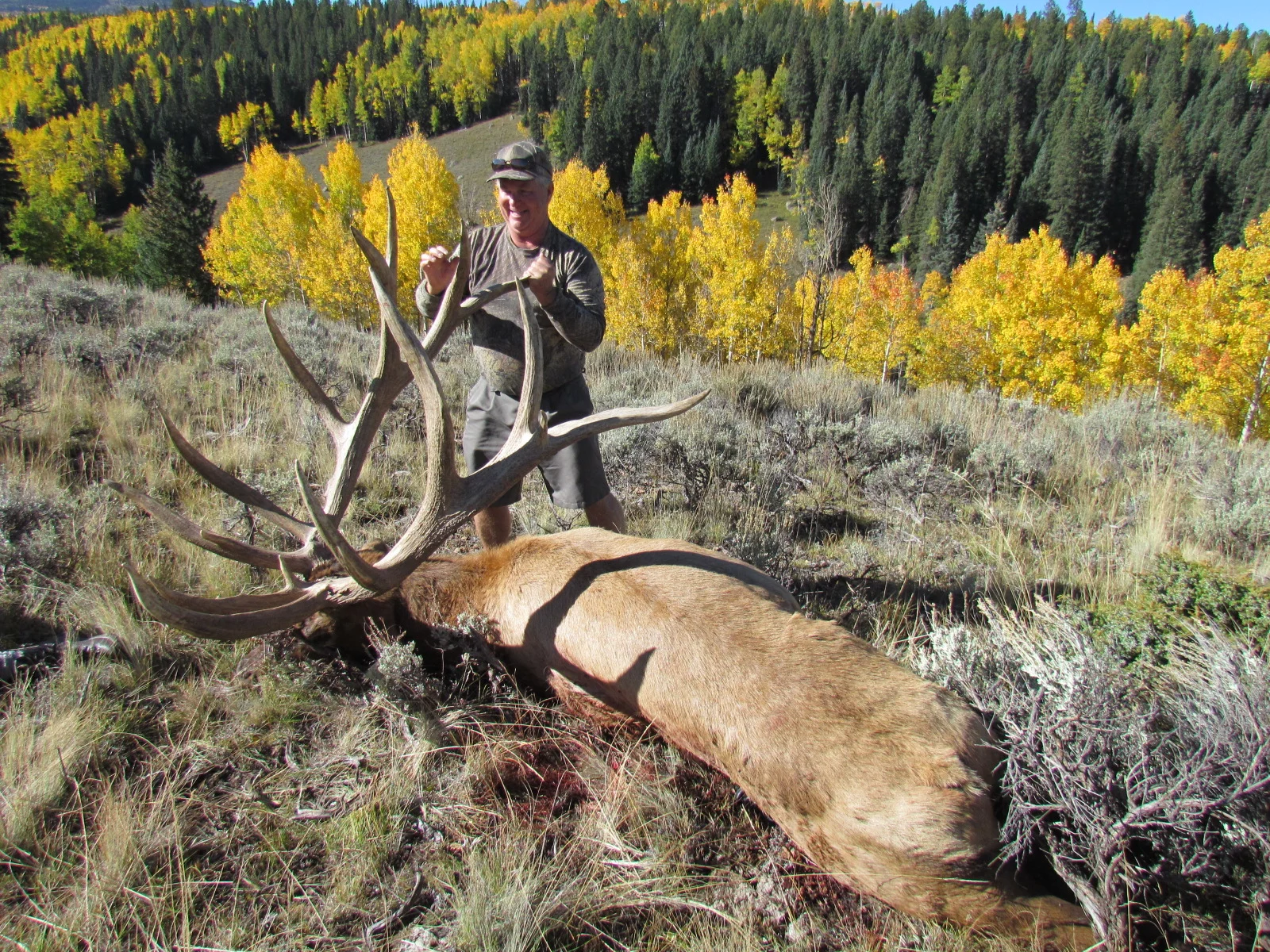 COLORADO TROPHY ELK HUNTS AT BULL BASIN RANCH COLORADO TROPHY BULL ELK